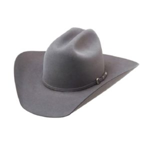 Silver Spur 3X Steel Wool Hat at Silver 