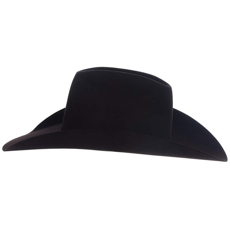 10X Rodeo King Black Cherry Felt Hat 